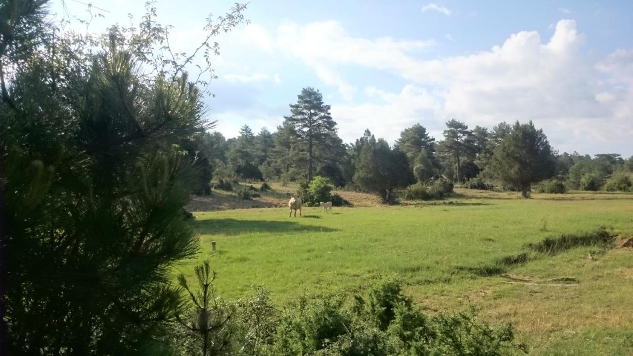 Ciudad Encantada Tio Daniel Valdecabras Экстерьер фото